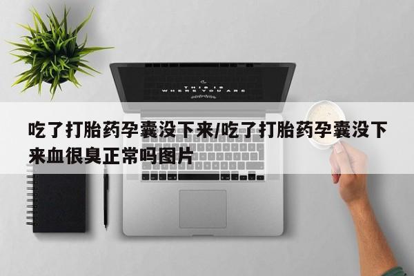 打胎药吃了打胎药孕囊没下来/吃了打胎药孕囊没下来血很臭正常吗图片